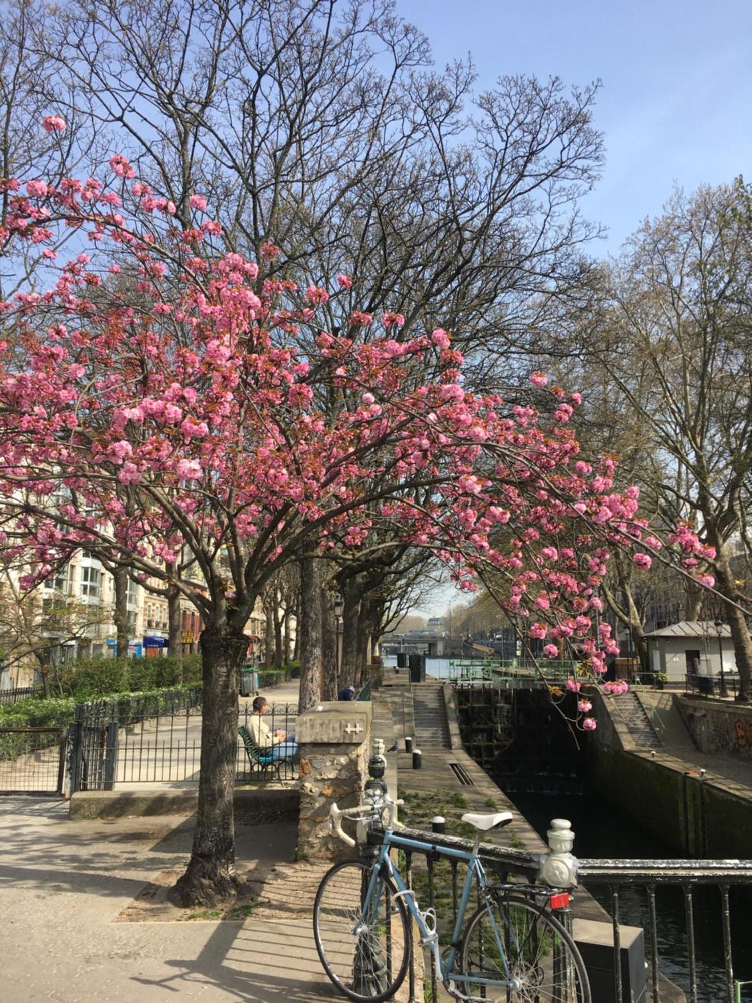 Paris, Au Bord Du Canal Saint Martin Eksteriør billede